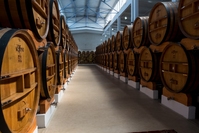 Kvint vaten cognac transnistrie moldavie